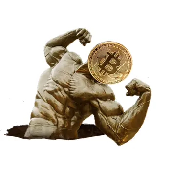 Buy Steroids with Bitcoin Explained